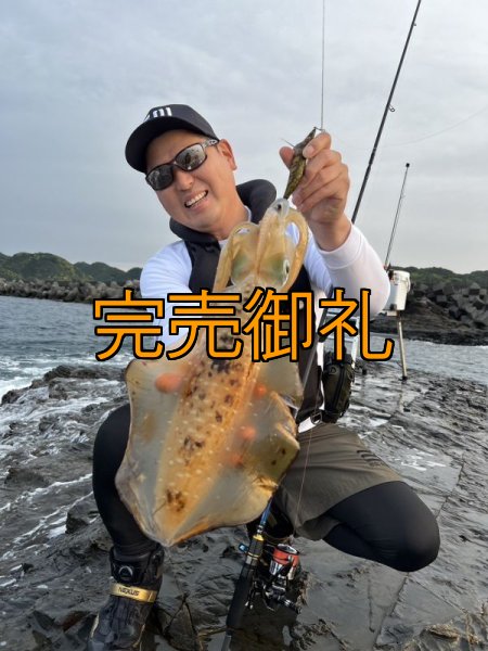 画像1: WILDCHASE 3.5号 /俺のGOLDパイソン/[特注:EGI MANIACS] (1)