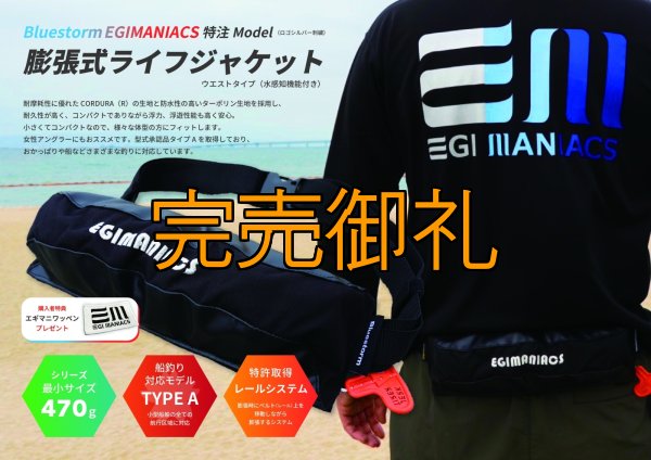 画像1: EGI MANIACS 腰巻タイプモーゲットウエスト 国土交通省型式承認品【別注ブルーストーム】 (1)